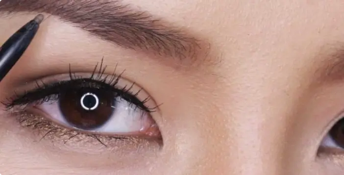 About Section Bottom Image